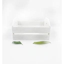 .Caja Chica.