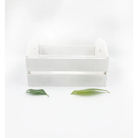 .Caja Chica.