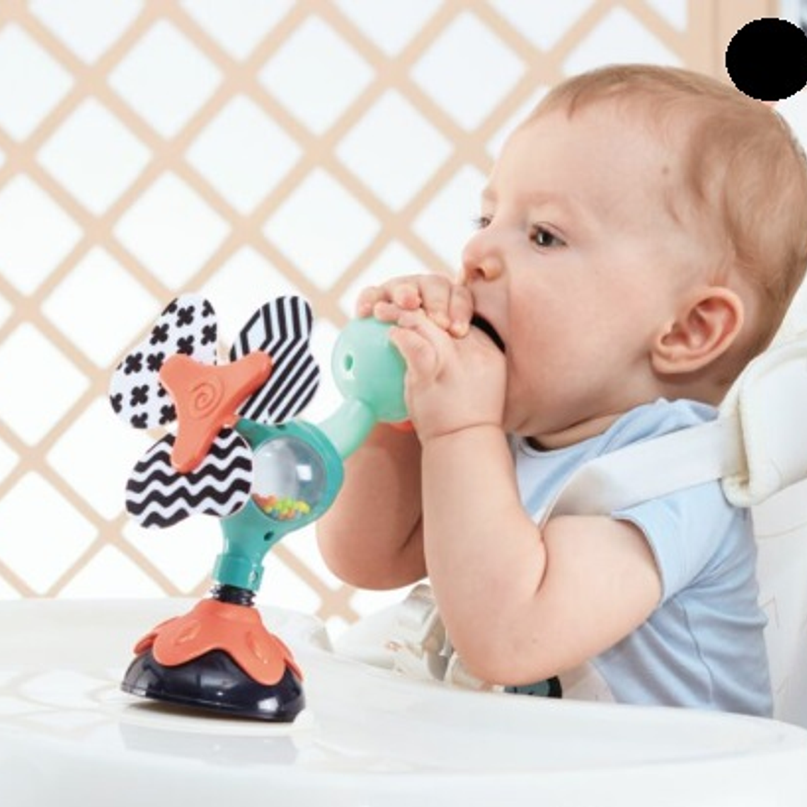 Juguete succión pavo real Hola Toys 2