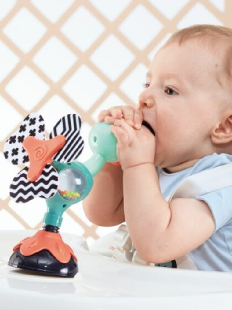 Juguete succión pavo real Hola Toys 2