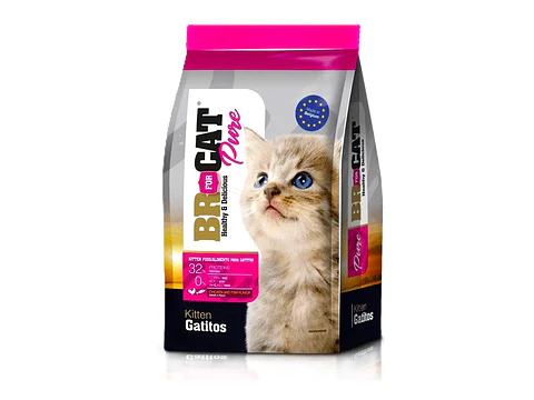 BR For Cat Pure Gatitos Pollo