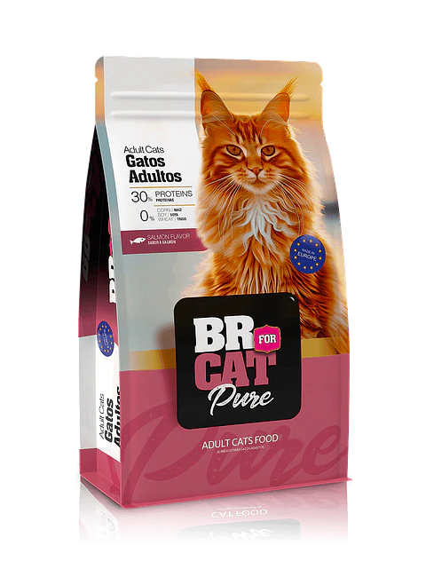 BR For Cat Pure Adultos Salmón