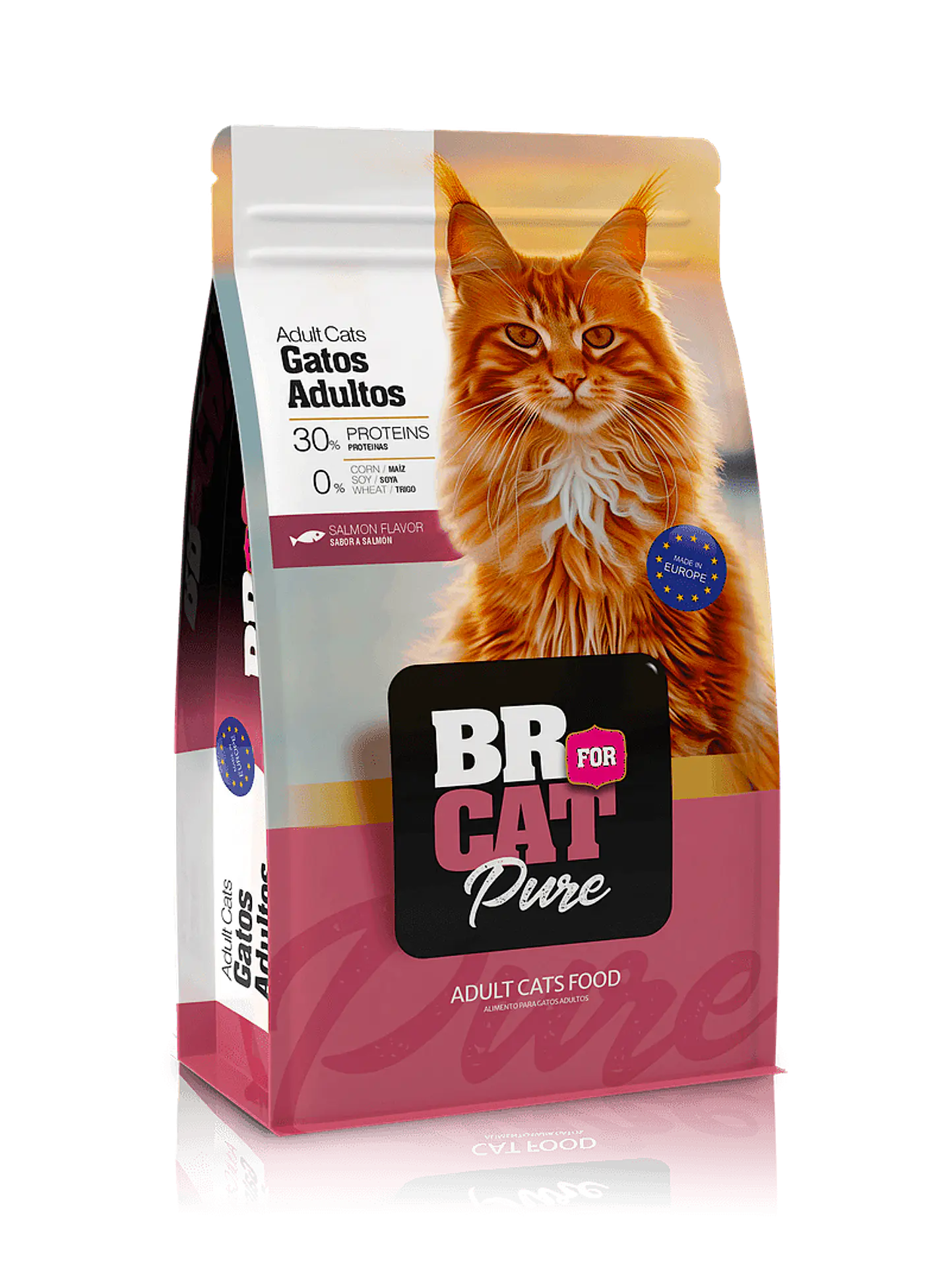 BR For Cat Pure Adultos Salmón 1