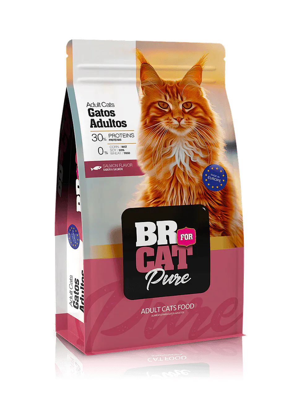 BR For Cat Pure Adultos Salmón 1
