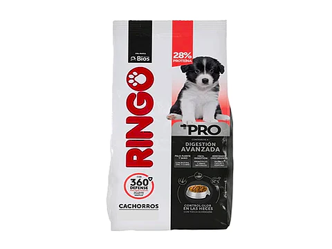 Ringo +Pro Cachorro