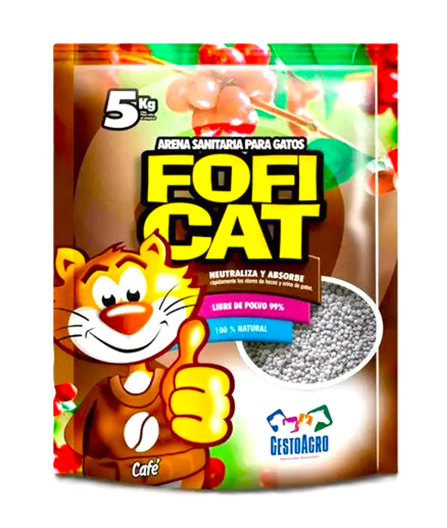 Arena Sanitaria Fofi Cat 2