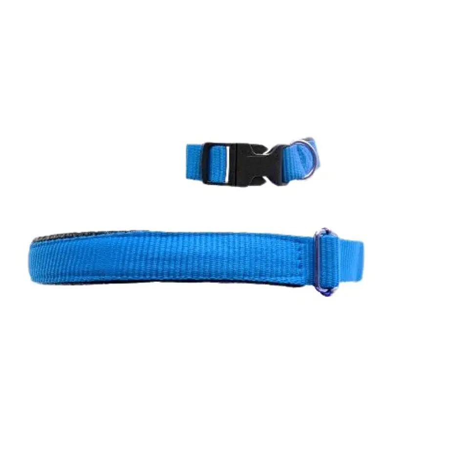 Collar Acolchado para Perros 1