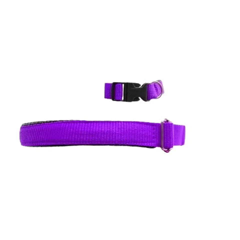 Collar Acolchado para Perros 2