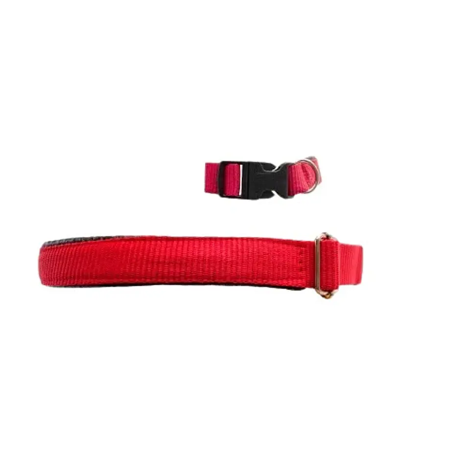 Collar Acolchado para Perros 3