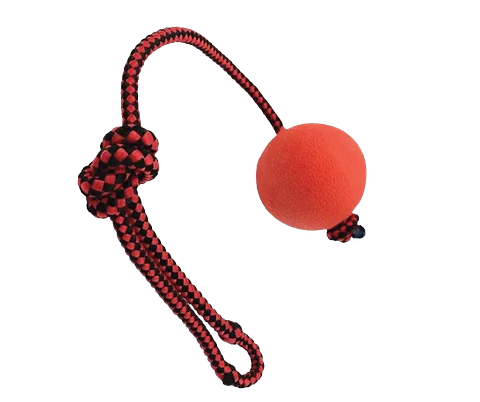 Pelota Maciza con Cuerda para Perros