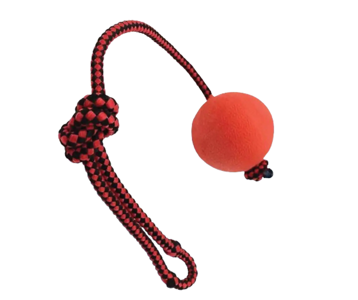 Pelota Maciza con Cuerda para Perros 1