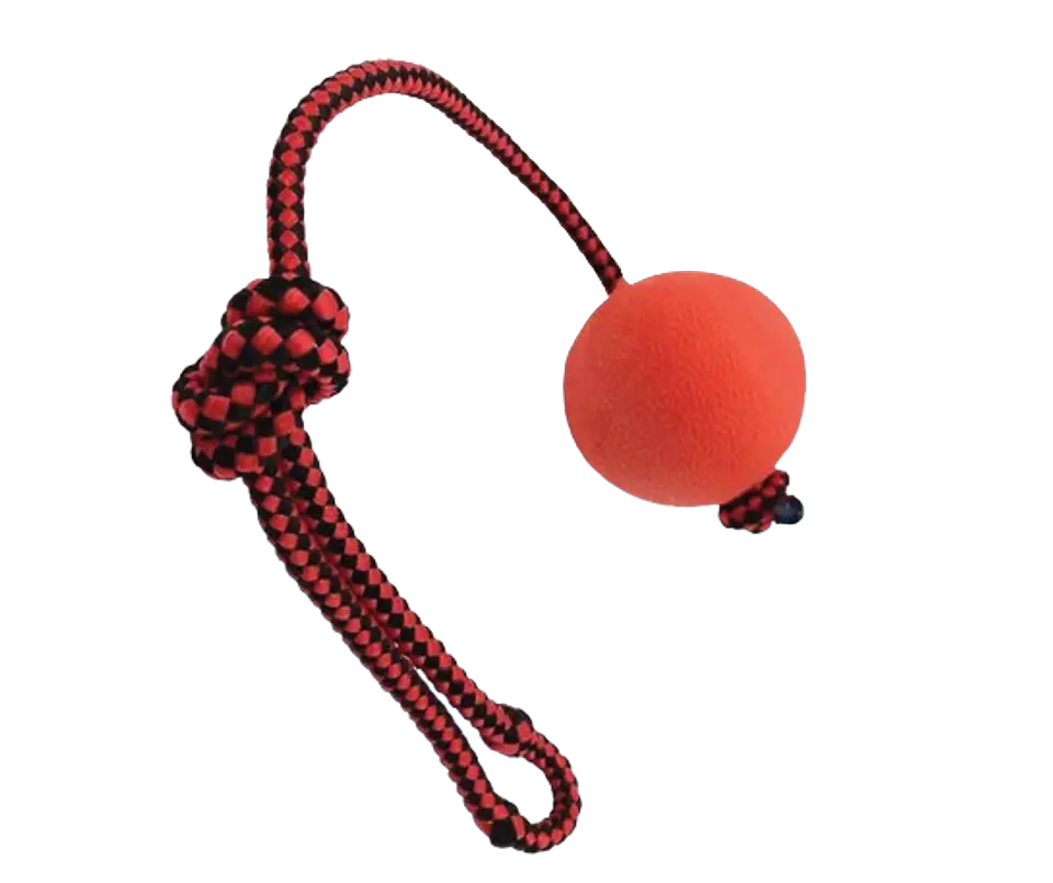 Pelota Maciza con Cuerda para Perros 1