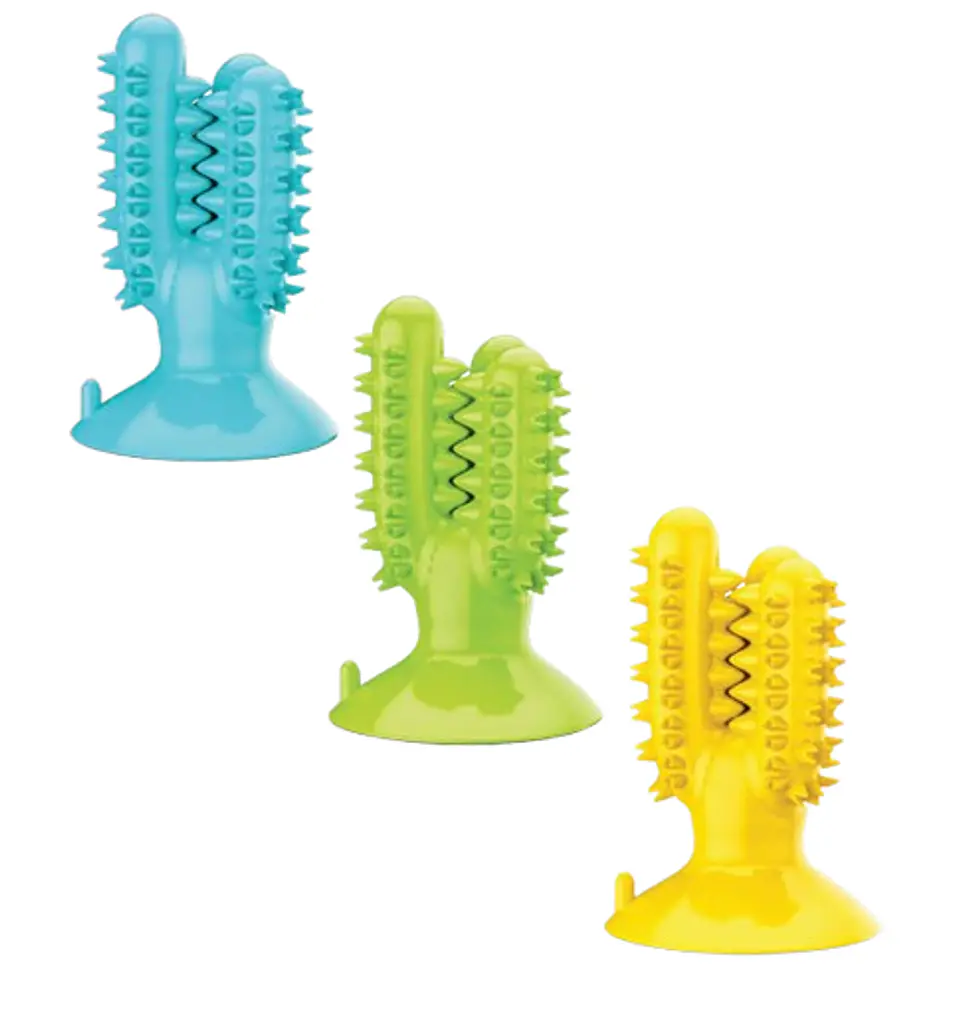 Mordedor Limpia Dientes Cactus para Perros 1