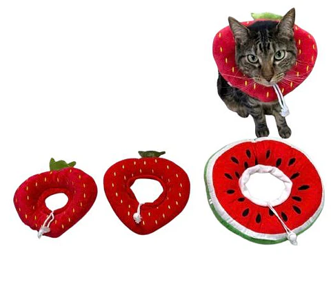 Collar Isabelino Frutas para Mascotas