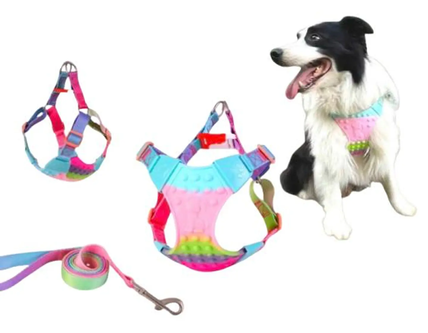 Pechera Colorida de Goma para Mascotas 1