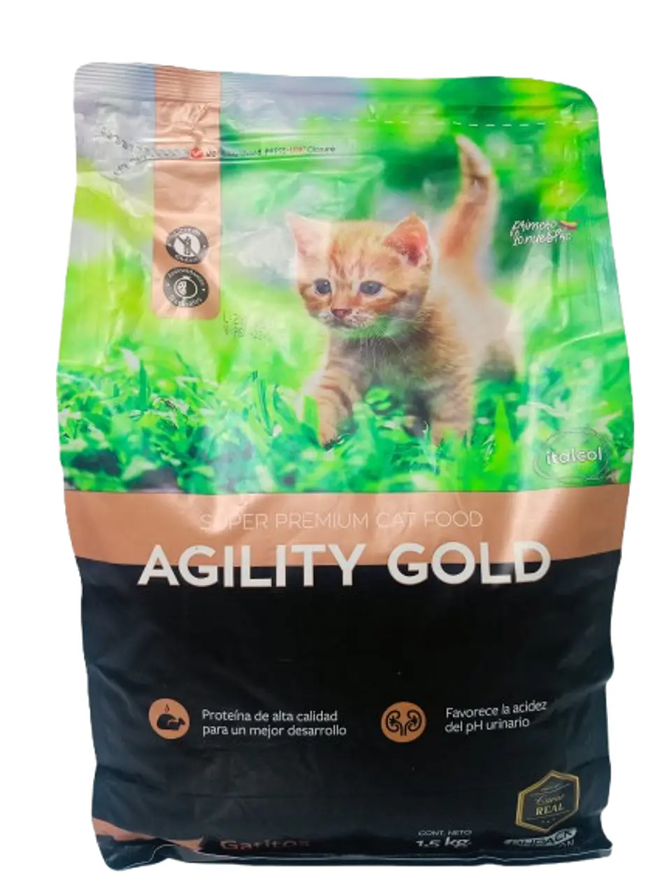 Agility Gold Gatitos 1