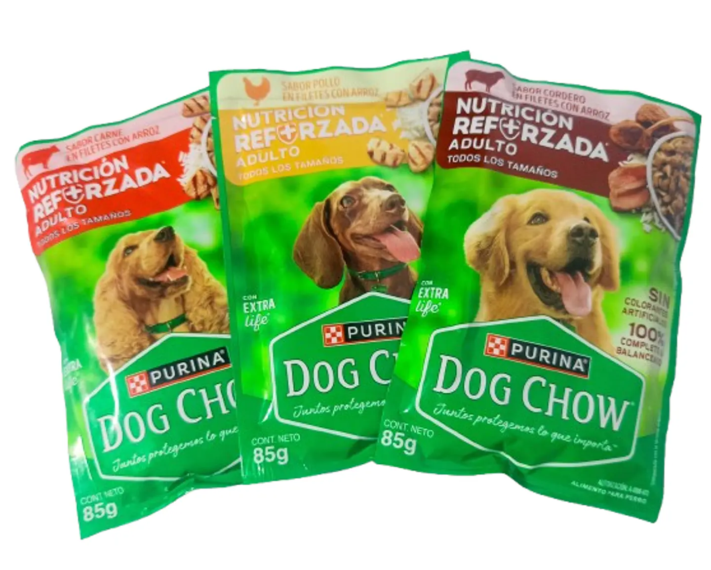 Dog Chow comida Húmeda 1