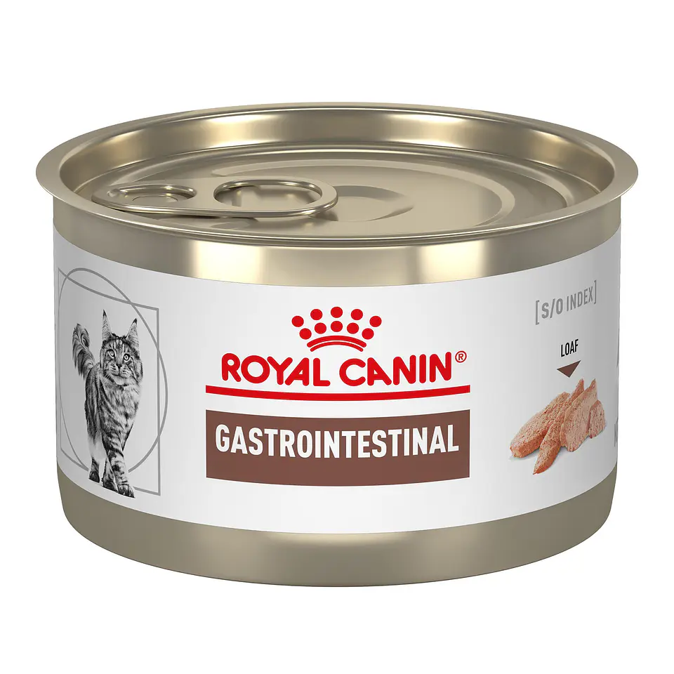 Royal Canin Gastrointestinal Gato 1