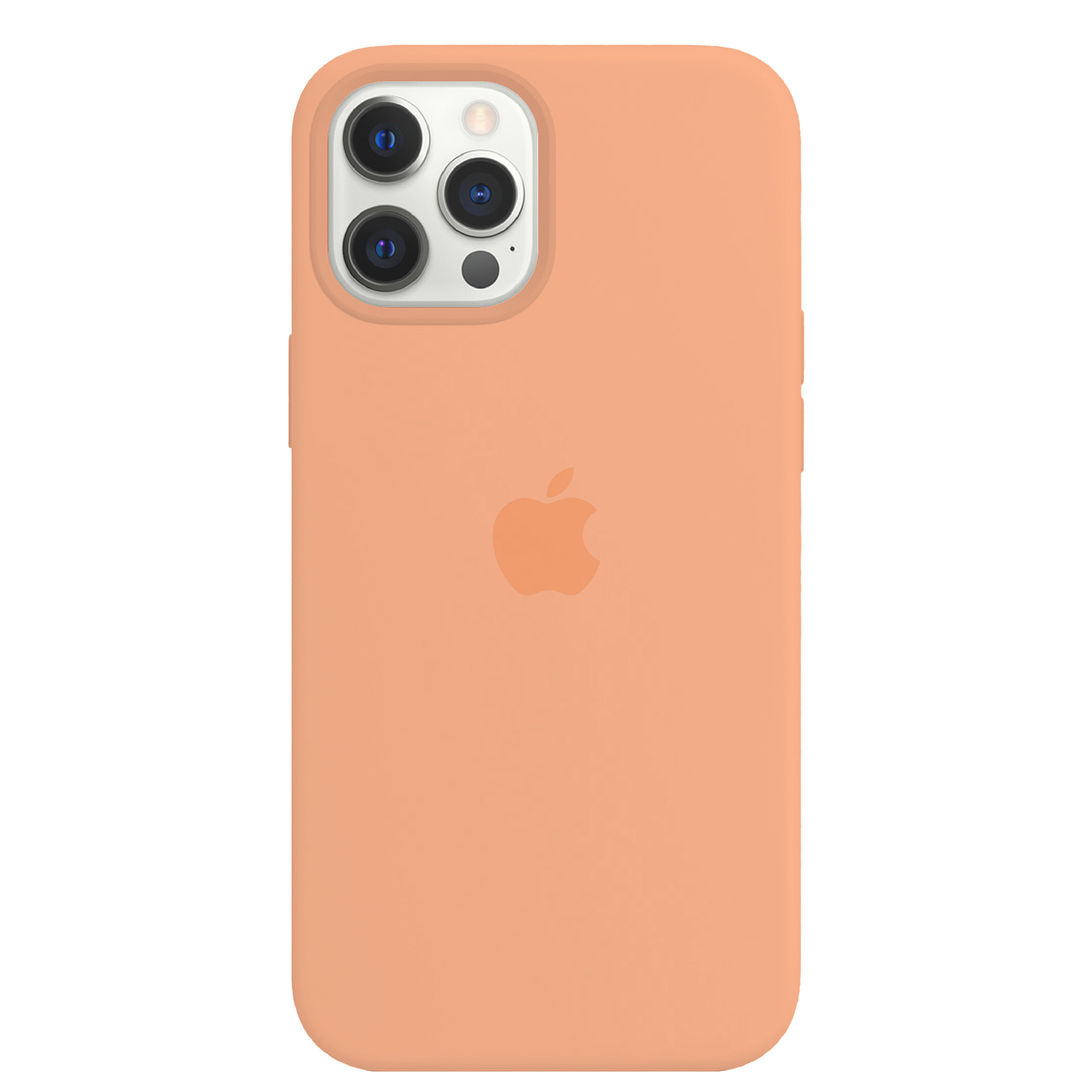 Carcasa de Silicona - iPhone 12 Pro 1