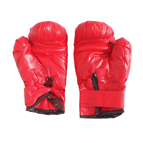 Set Pera Velocidad +base +guantes +bombin Box