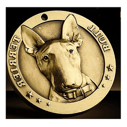 Placa Chapa Perro Bull Terrier Para Grabado Identificador