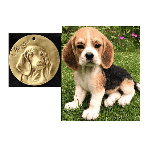 Placa Chapa Perro Beagle Para Grabado Identificador Mascotas