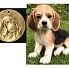 Placa Chapa Perro Beagle Para Grabado Identificador Mascotas