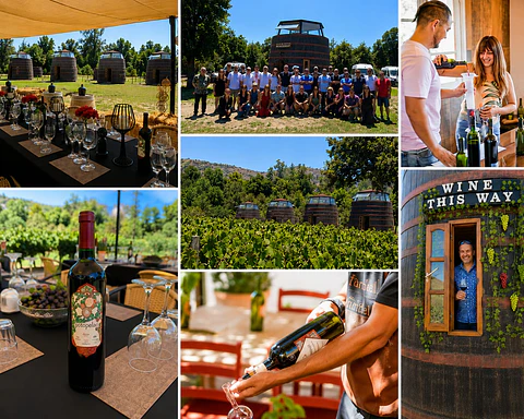 VIÑA BALLEK + VIÑA TERRAMATER "ENOLOGO POR UN DIA " + RESTAURANTE ZINFANDEL