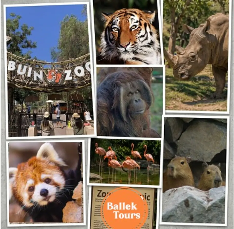 AVENTURA SALVAJE: BUIN ZOO 08/AGOSTO 1