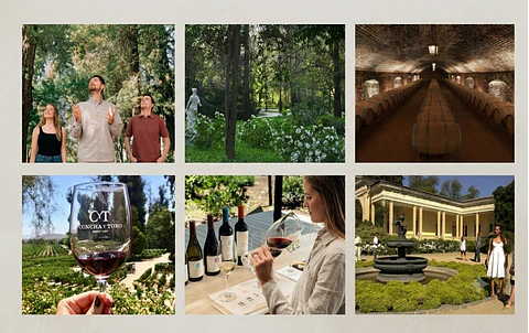VIÑA CONCHA Y TORO VISITA GUIADA PREMIUM 