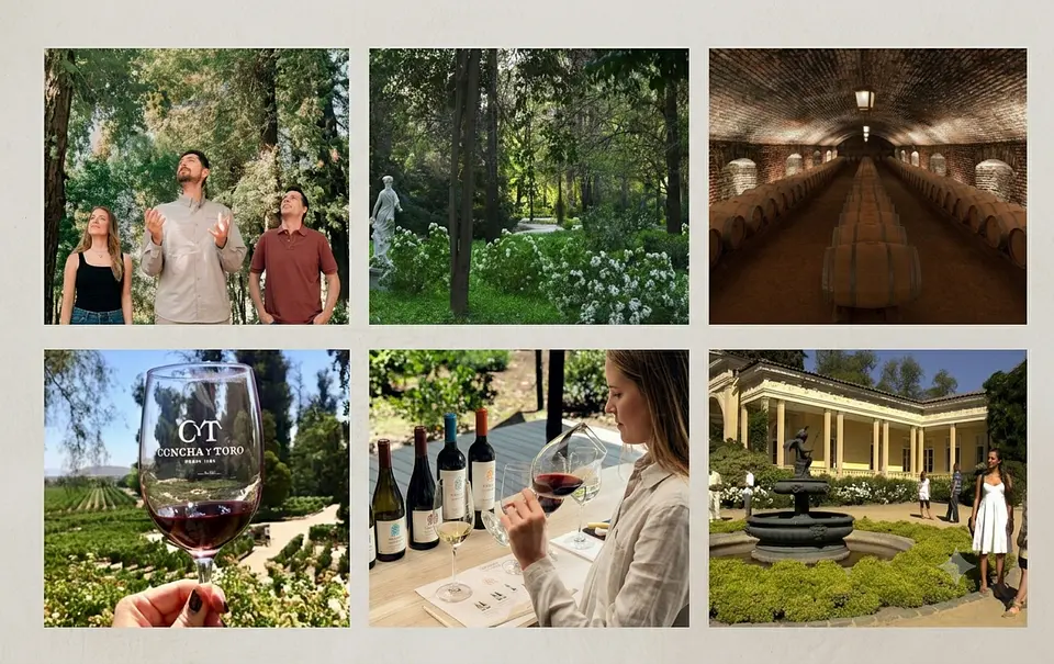 VIÑA CONCHA Y TORO VISITA GUIADA PREMIUM  1