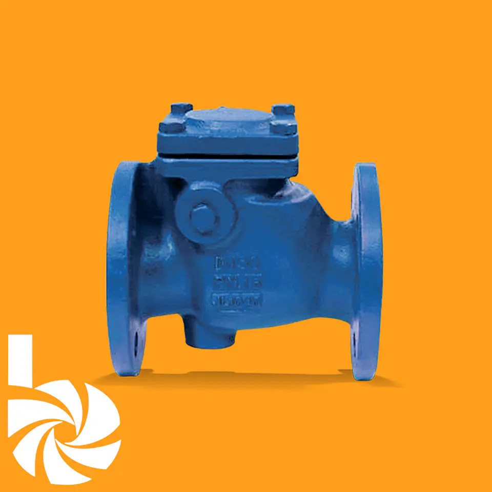 Válvula de Retención KSB Ecoline RPL NG 1