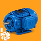 WEG W22 Motor Asíncrono IE3 4 Polos - Miniatura 2