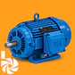 WEG W22 Motor Asíncrono IE3 4 Polos - Miniatura 3