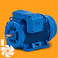 WEG W22 Motor Asíncrono IE3 2 Polos - Miniatura 4
