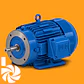 WEG W22 JM Motor Asíncrono IE3 4 Polos - Miniatura 2