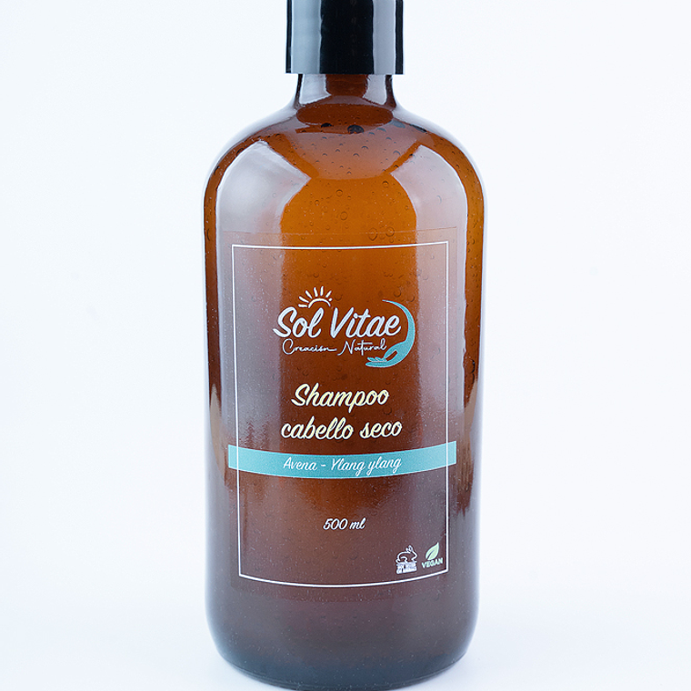 Shampoo cabello seco 1