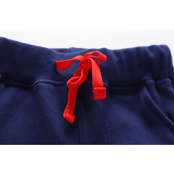 Pantalón de Buzo Dino Bordado 3