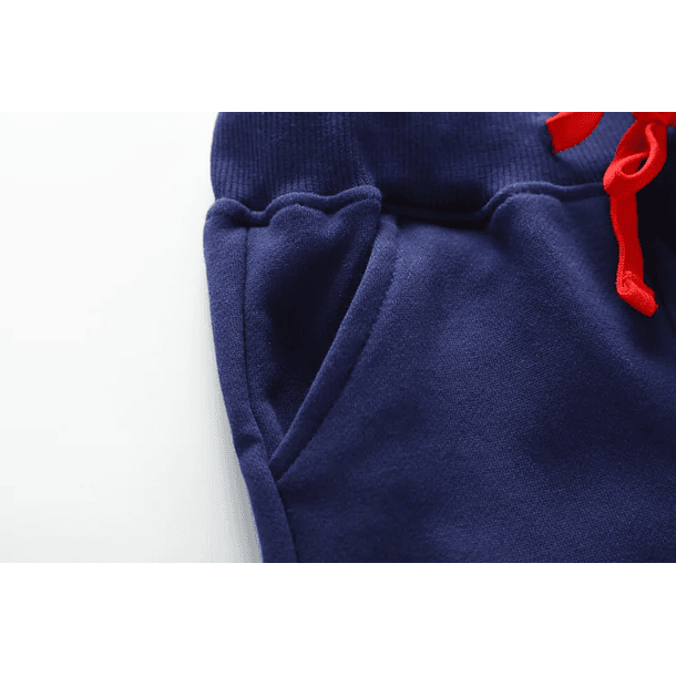 Pantalón de Buzo Dino Bordado 4