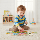 Puzzles Temáticos de Encaje 1