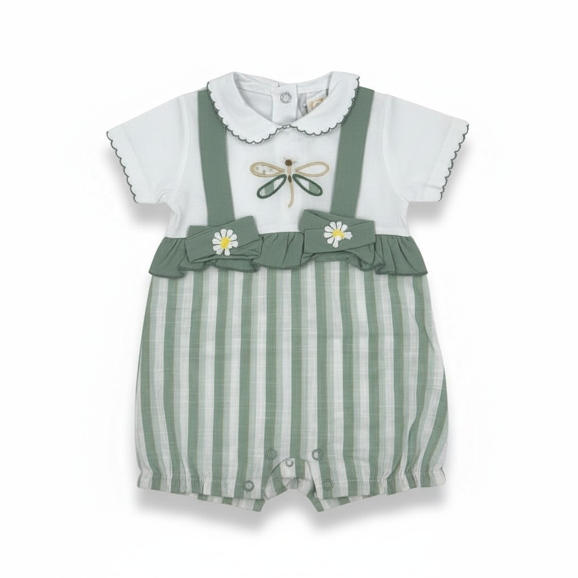 Enterito Libélula 2