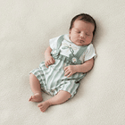 Enterito Libélula 1