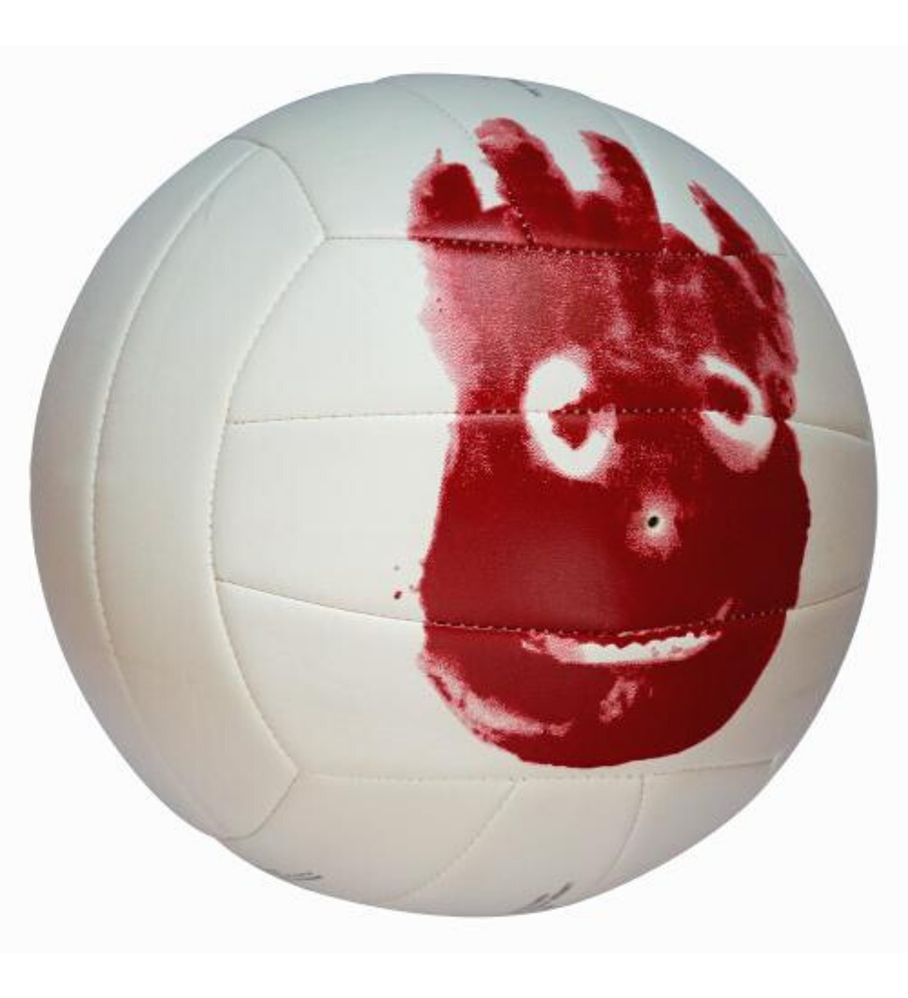 Balón Volleyball Mr Wilson Castaway Pelota Tamaño 5