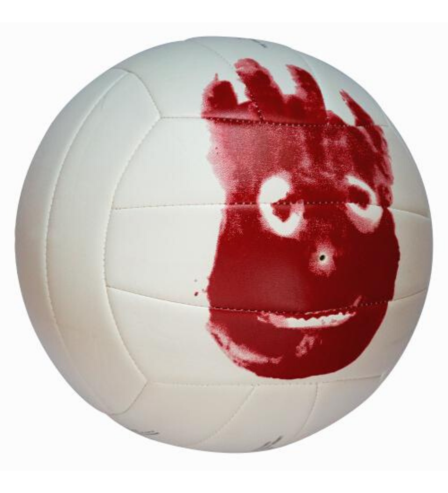 Balón Volleyball Mr Wilson Castaway Tamaño 5