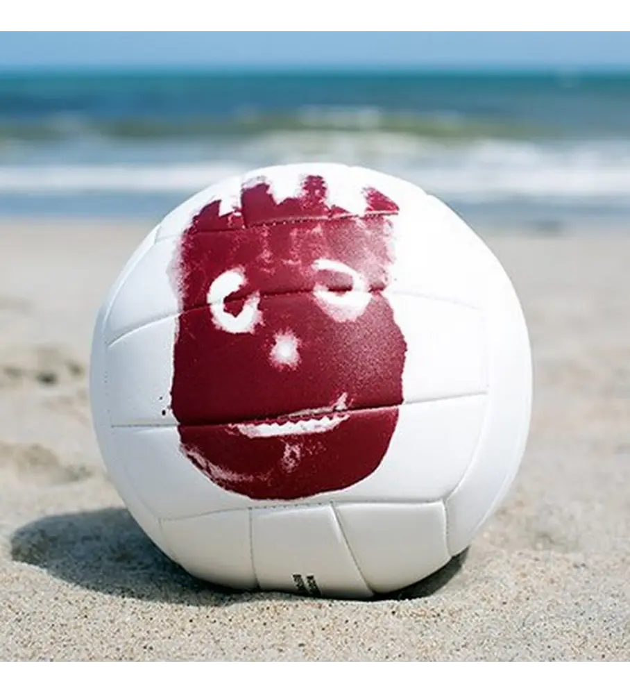 Balón Volleyball Mr Wilson Castaway Pelota Tamaño 5