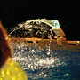 Rociador LED Multicolor para Piscina Intex LED Pool Sprayer 7