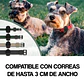 Soporte Collar Mascotas Para Airtag Impermeable Resistente - Miniatura 7