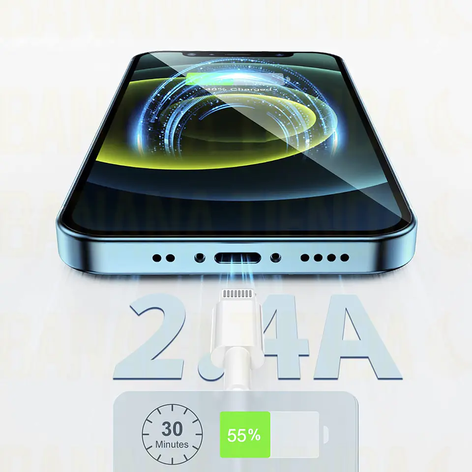 Cable Cargador para iPhone / Datos y Carga 2