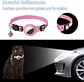 Collar Correa Con Funda Para Airtag Localizar Gato / Perro - Miniatura 8