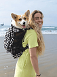 Plus 2 | Mochila De Perro Con Bolso Desmontable | K9 Sport Sack®  - Miniatura 24